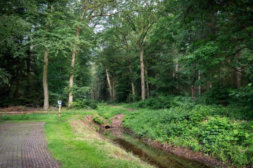 Buitenplaats Gerner 8 - foto 21