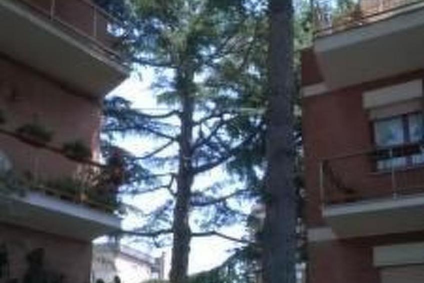 Penthouse mit großer Terrasse - foto 24