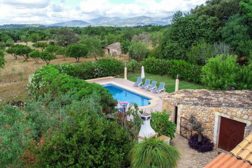 Higuera - foto 21