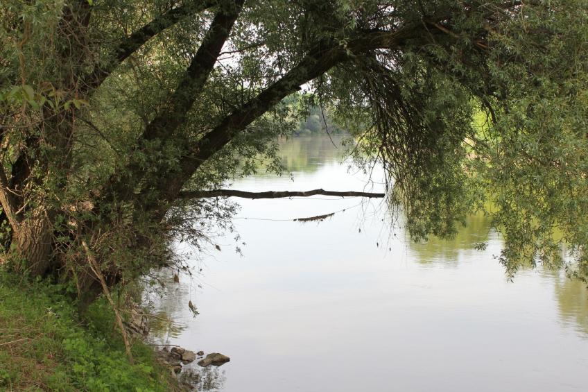 in Angern an der March - foto 11