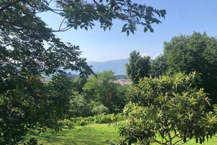 Casa dei Nonni - foto 34