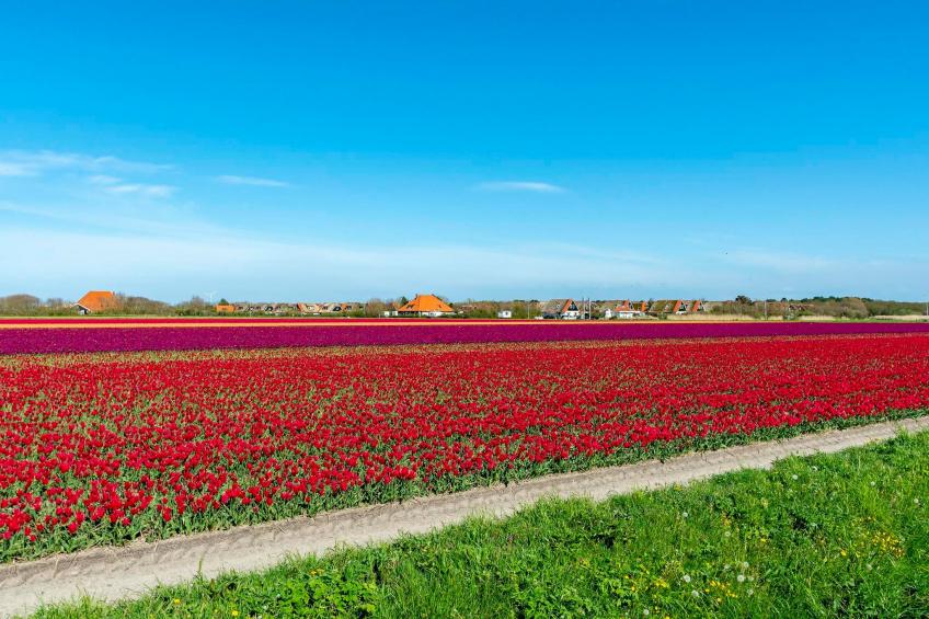 De Buitenplaats 72 - foto 25