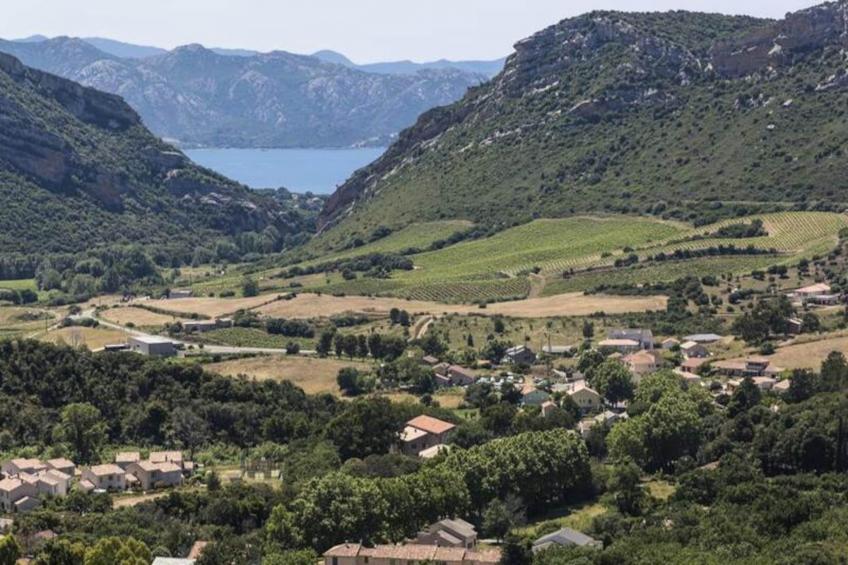 Résidence Odalys Casa d'Orinaju - foto 15