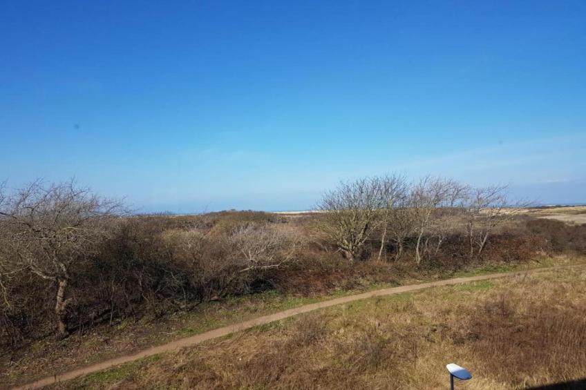 Scheveningen Harbour 18C - foto 36