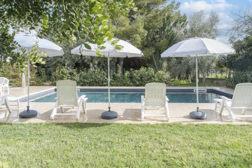 Zacchitella Gardenhouse - foto 3