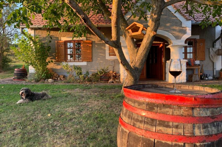 am Weinberg - foto 20