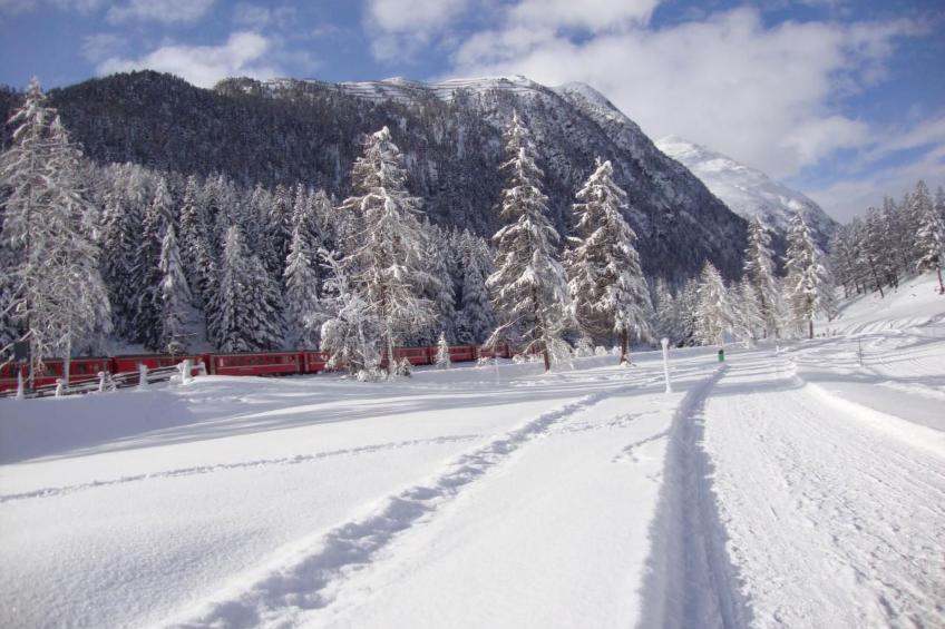 Chesa Arettas - foto 38