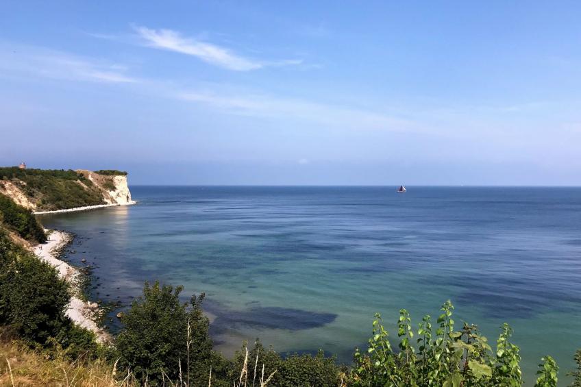 Wiesenblick 2 - foto 18