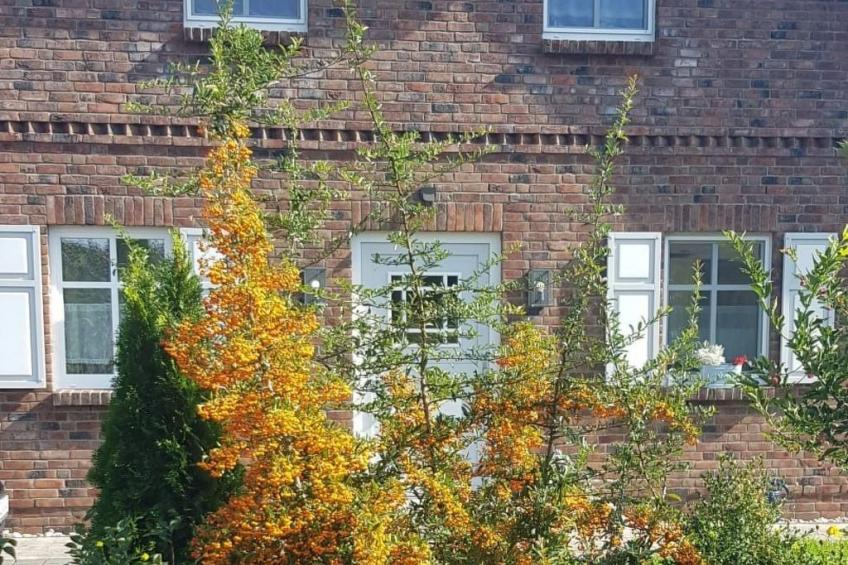 Admiral's Corner Luv - foto 24