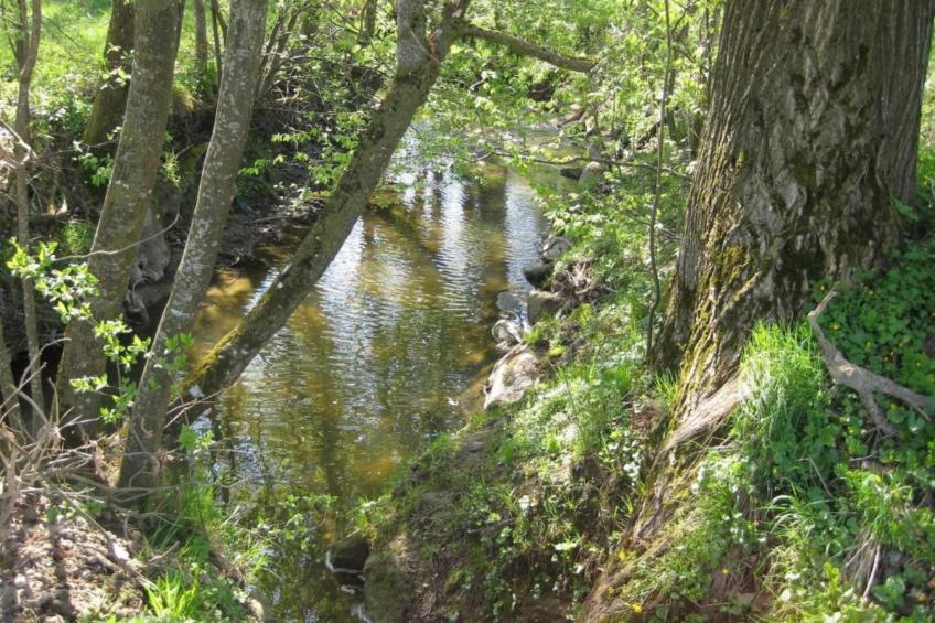 Am Ferienhof - foto 19