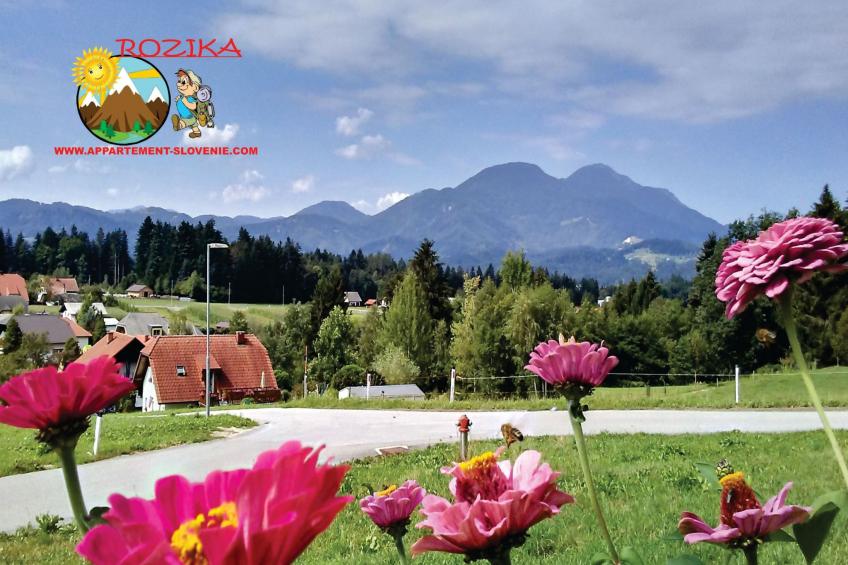 Wohnung Rozika - foto 34