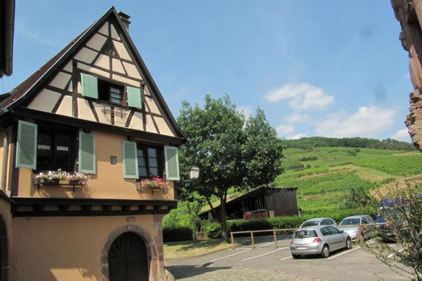 2ed-Face Vosges,im Süden,Herz Weinberg,Ruhig,WiFi - foto 19