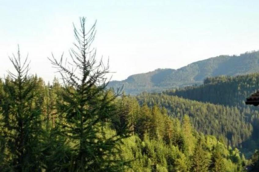 in Gnesau mit Grill - foto 18