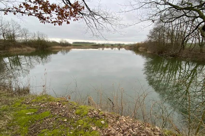 Schulweg 2 - foto 22