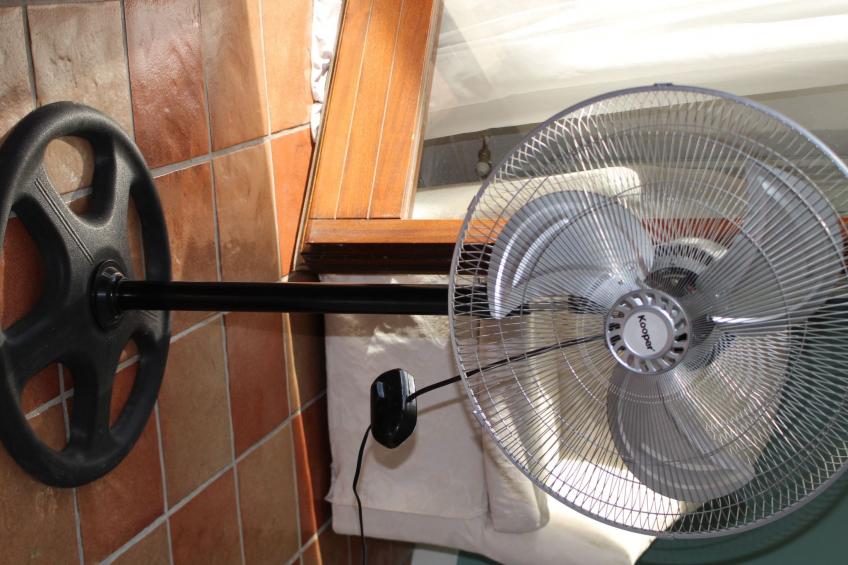 "Daphne Experience". - foto 32