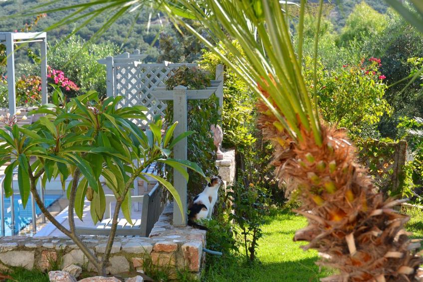 Villa Europa - foto 33