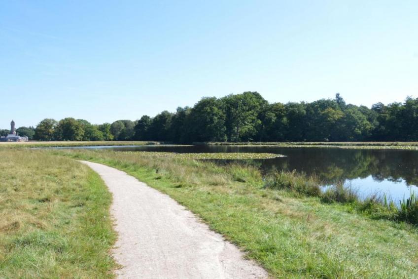 De Veluwse Eekhoorn - foto 27