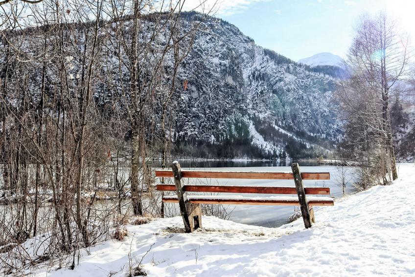 Spatzennest - foto 28