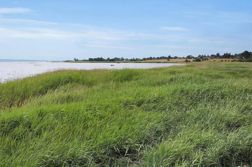 "Jeip" - 400m to the inlet in Sealand - foto 11