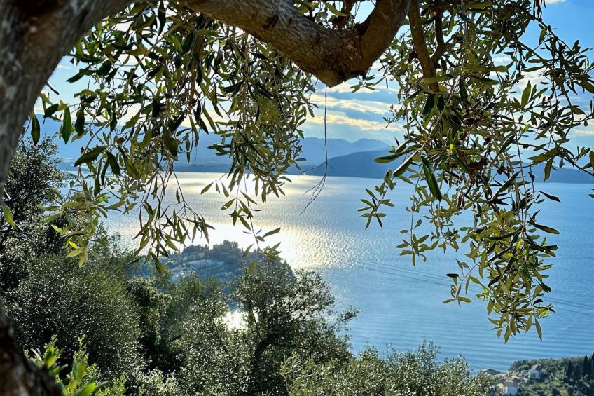 Prächtige Villa in spektakulärer Lage - foto 45