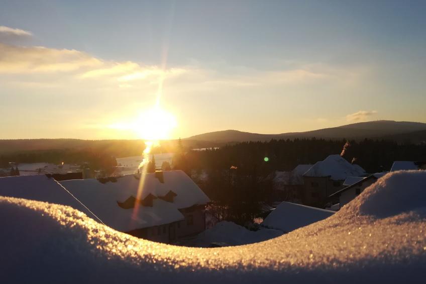 in Haidmühle mit Großem Garten - foto 18
