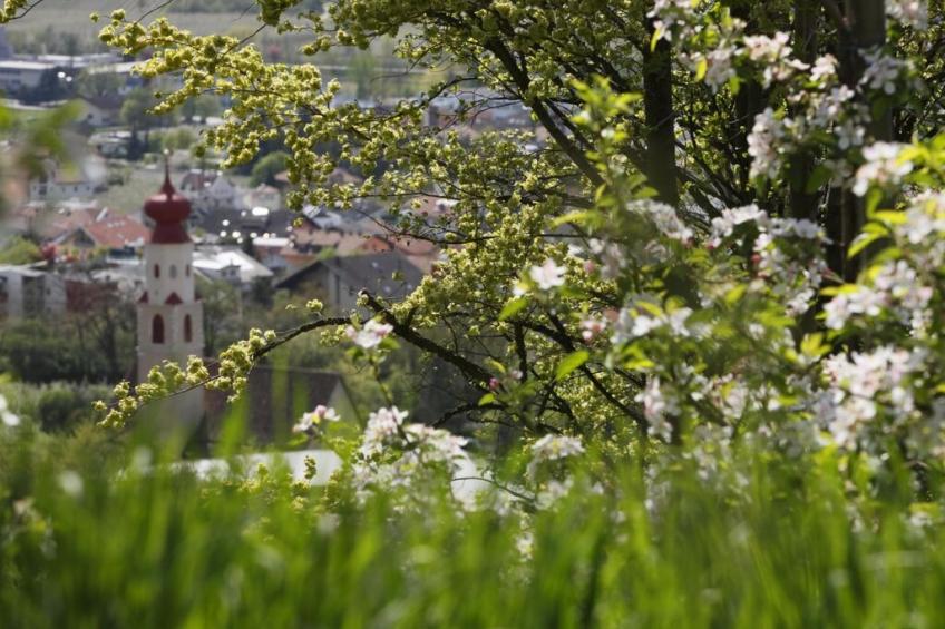 63871 - foto 18