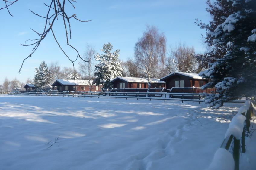 Five Waterings - foto 23