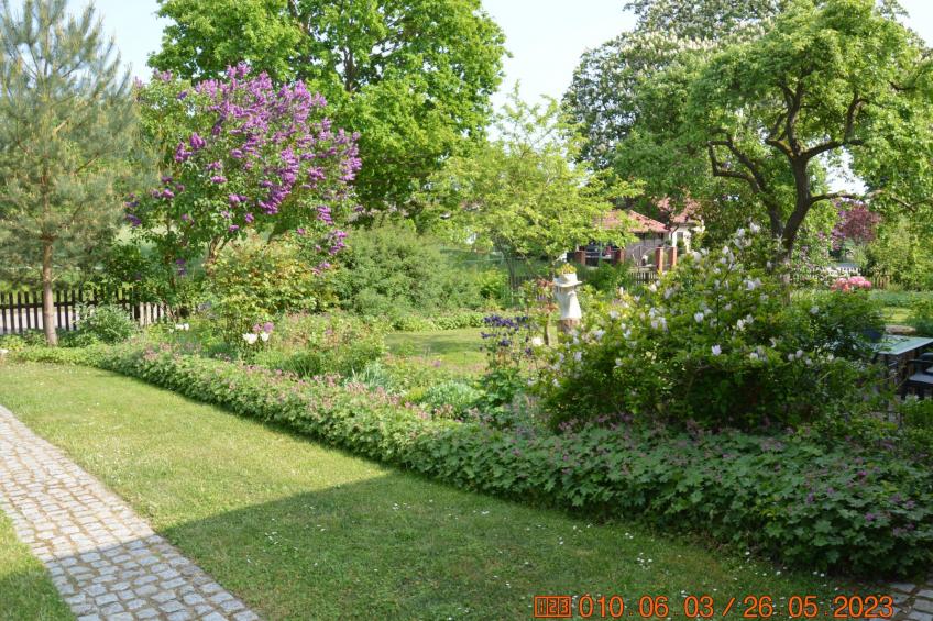 Büdnerei Cantnitz - foto 18