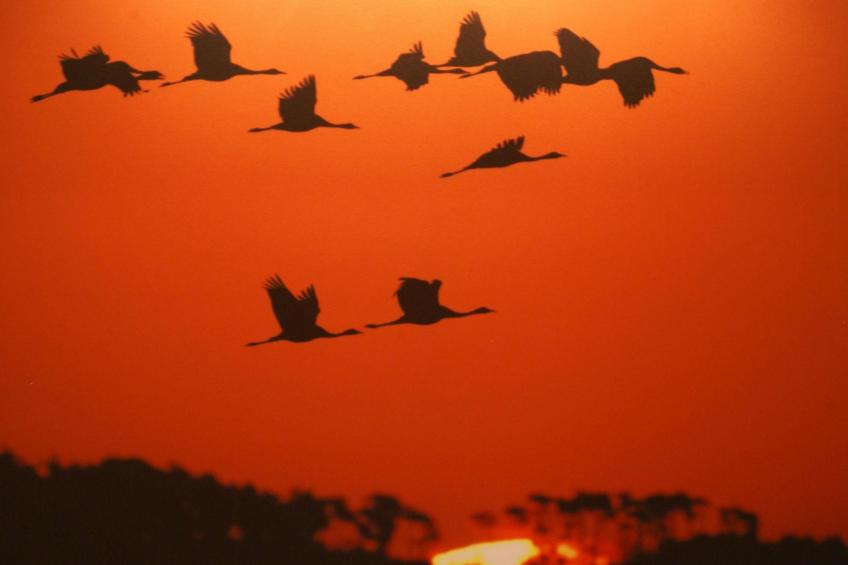 mit Sauna und Schwimmbadnutzung - foto 42