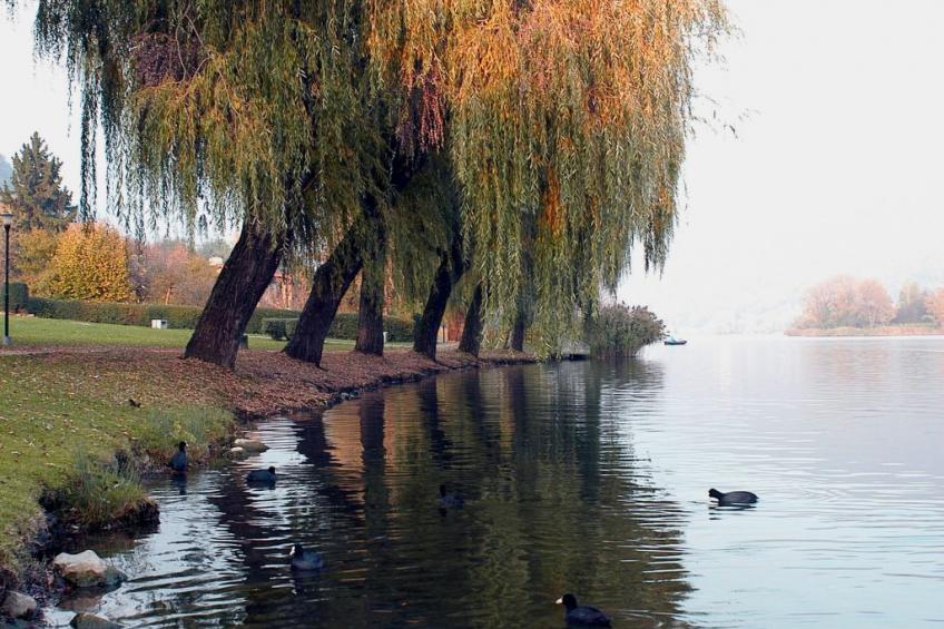 Wohnung in Riva Di Solto mit Kleinem Garten - foto 35