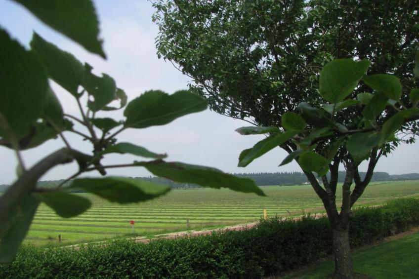 Buitenplaats Gerner 6 - foto 35