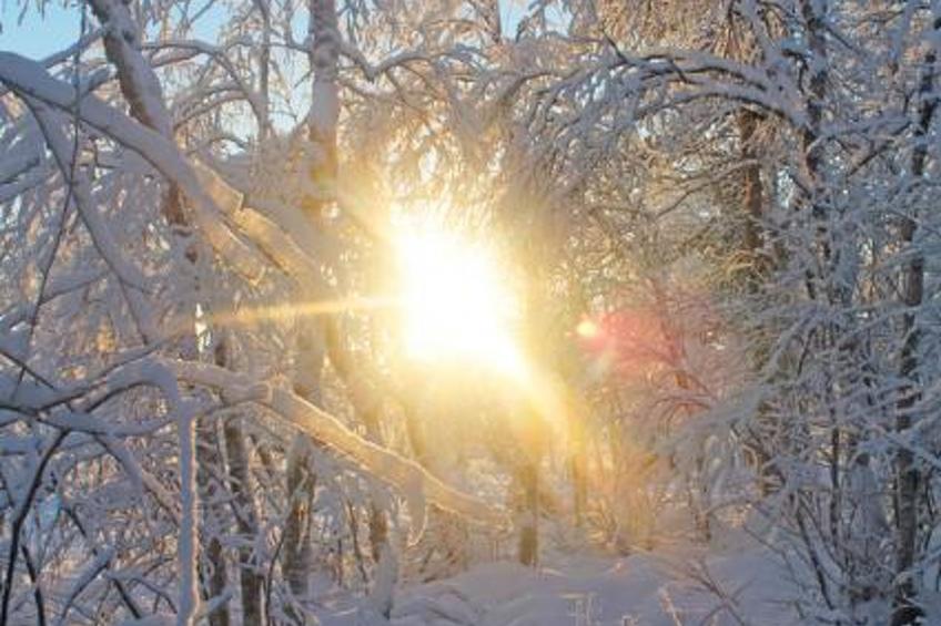 Puljuvaaran majat/juolukka - foto 12