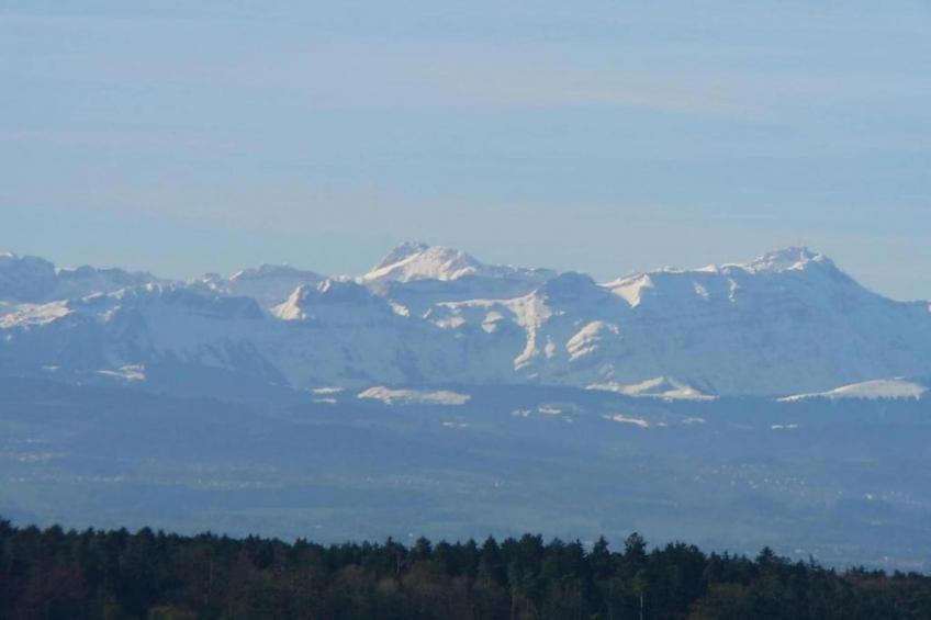 Ferienwohnung Markdorf - foto 40