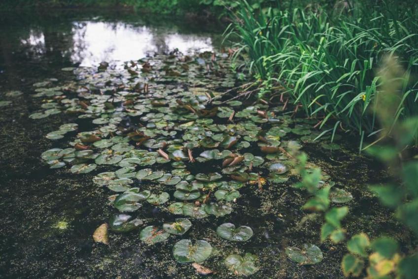 Shrawardine Train Carriage - foto 29