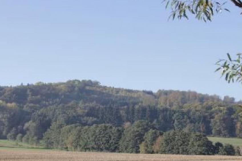 Gästehaus Kühne - foto 20