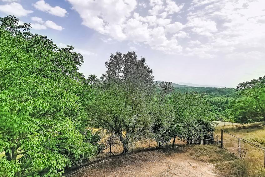 La Casa dei Cedri - foto 24