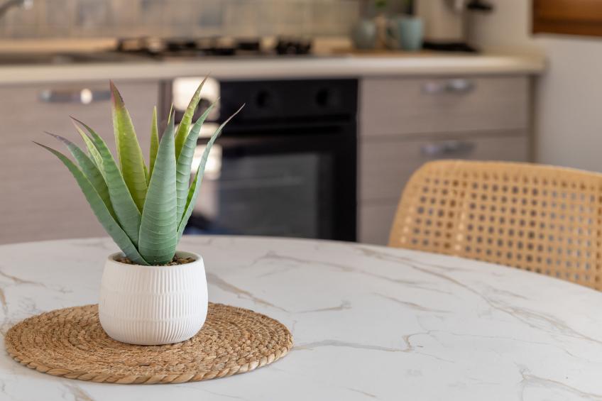 Luce del Mare - foto 16