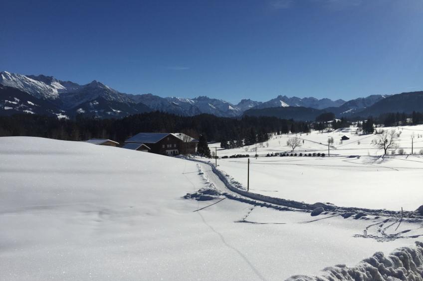 Fewo Bergblick lodge - foto 20