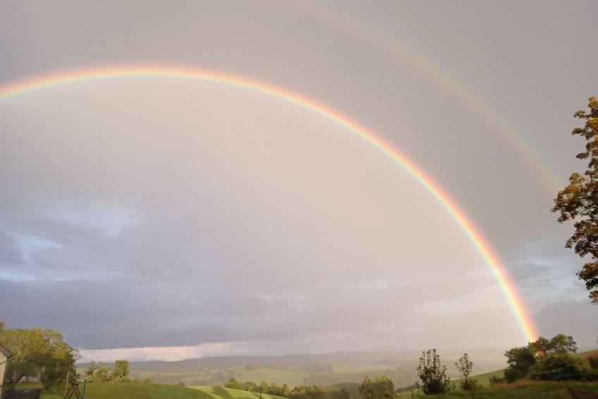 Wohnung Weitblick - foto 25