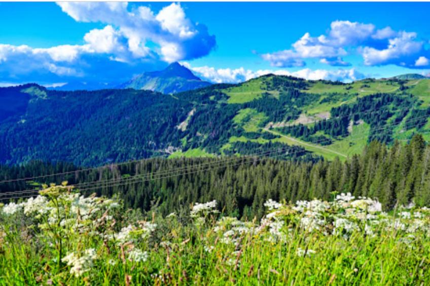 Résidence Quartier Falaise - maeva Home - foto 38