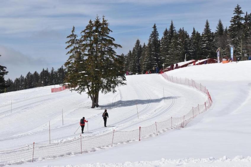 V du Bachat Arolles A n°26 - 2P4 - foto 16