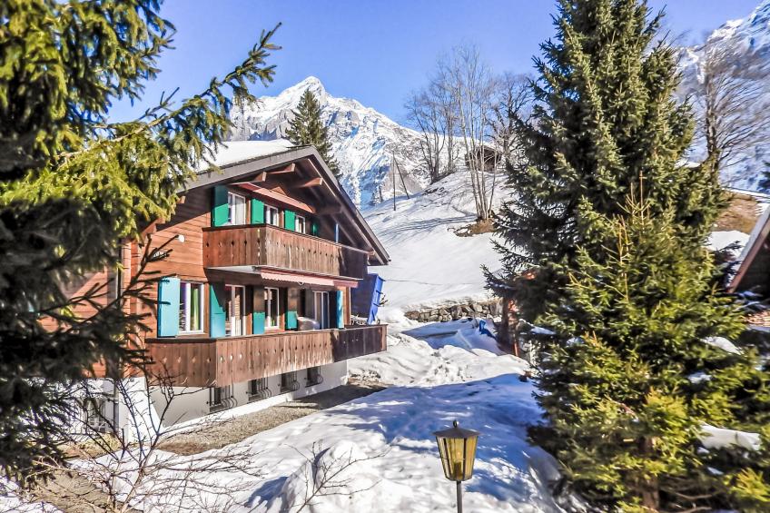 Chalet Bienli Oben - foto 28
