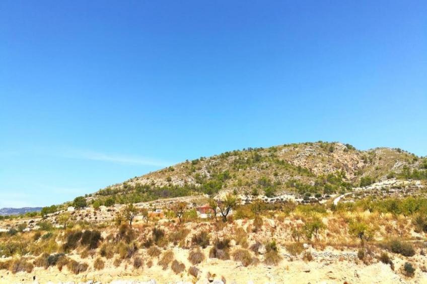 Villa Raprodet - foto 30