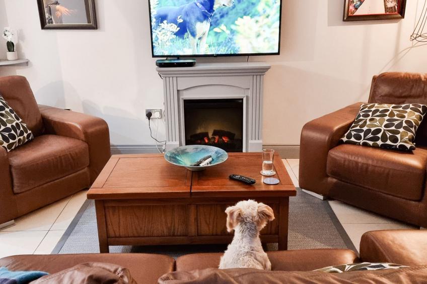 Passage East Holiday Home - foto 10