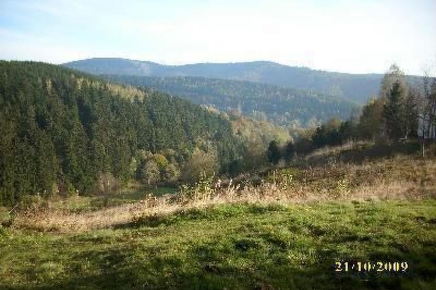 Fam. Sauer - foto 13