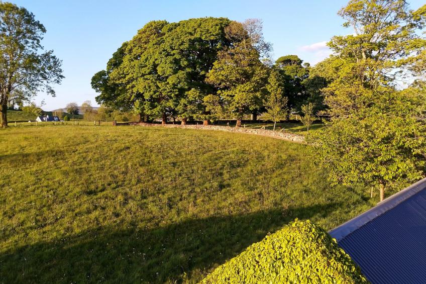 Cottage "James Tymon" mit Terrasse und Garten - foto 23