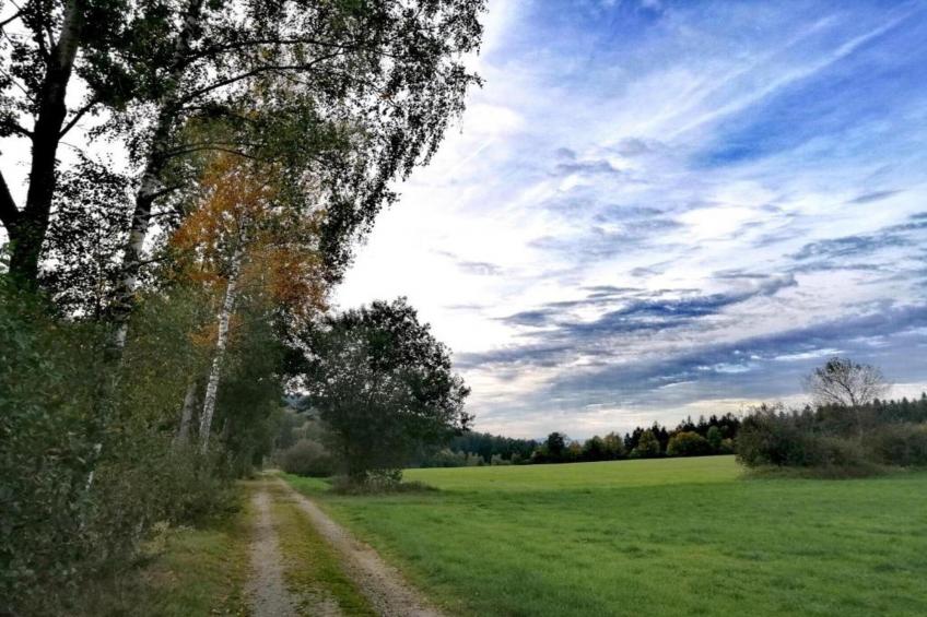 Gästehaus Kandlbinder - foto 38