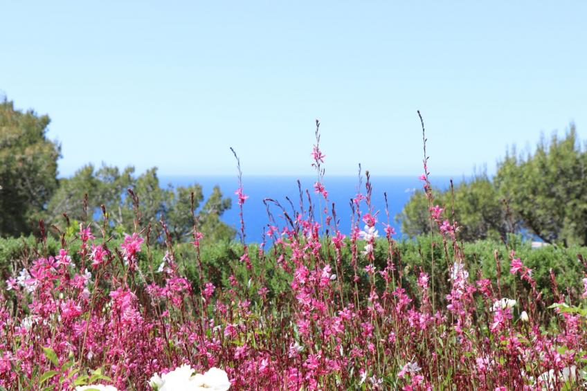 Wohnung "Mesomax RDC" in Strandnähe mit Meerblick - foto 26