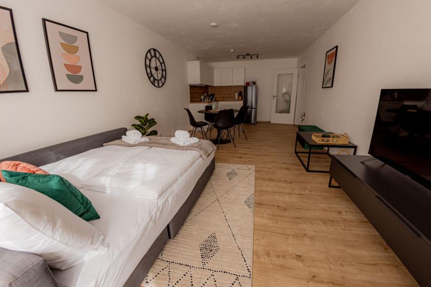 Come4Stay Passau - 2 Zimmer - bis zu 4 Gäste - foto 28