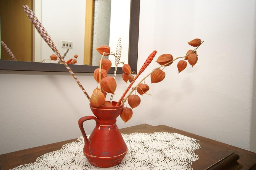 Belci - foto 32